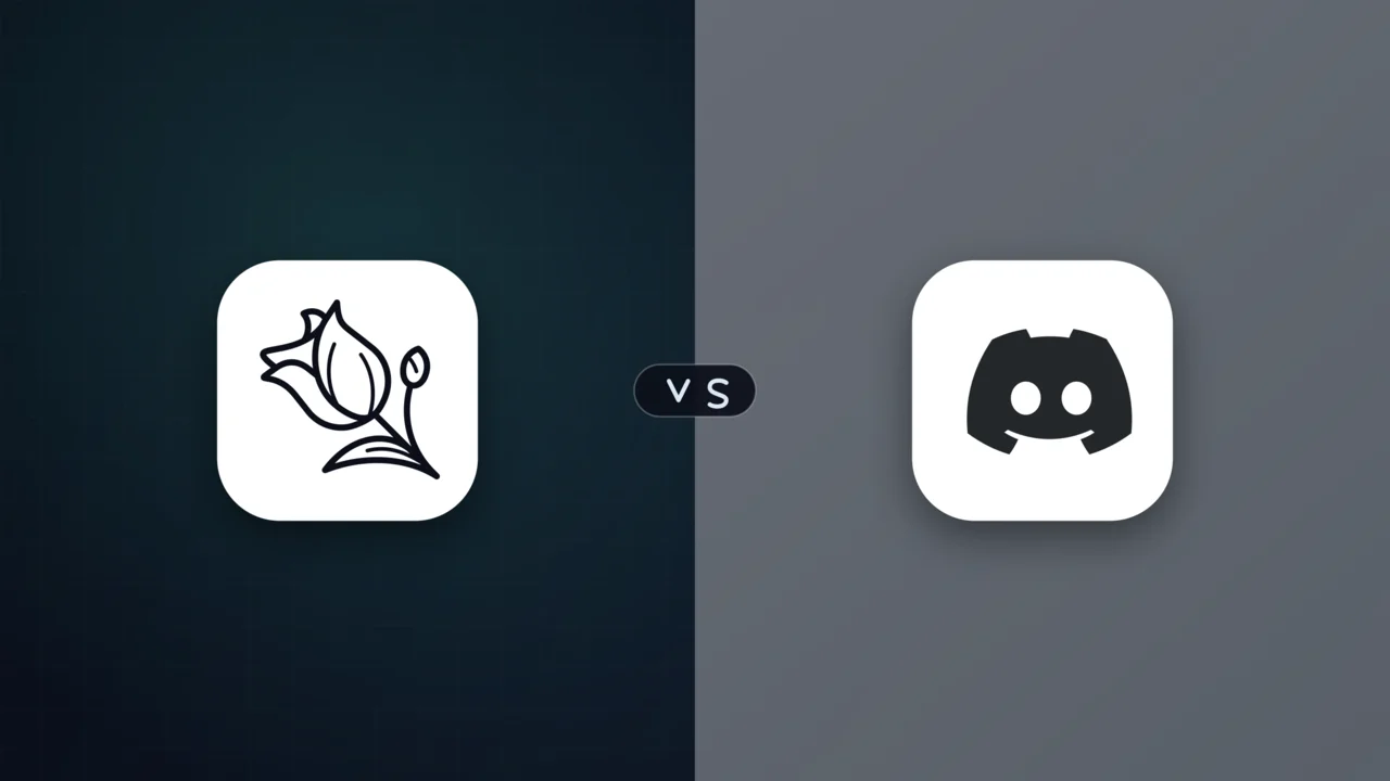 Lupyd vs Discord: How Text Privacy and Voice Security Truly Differ